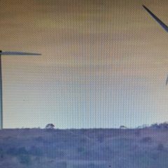 Sebanyak 22 Proyek PLTB Siap Dibangun