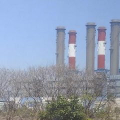 PLN dan Freeport Dapat Pengecualian Jalankan Kewajiban Biodiesel 20%