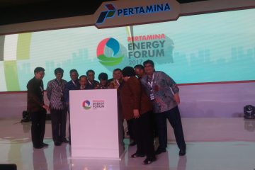 Pertamina akan Gandeng Mitra Strategis Kembangkan Energi Baru Terbarukan