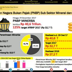 Realisasi PNBP Minerba 2017 Naik 48,3%