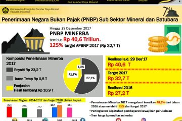 Realisasi PNBP Minerba 2017 Naik 48,3%