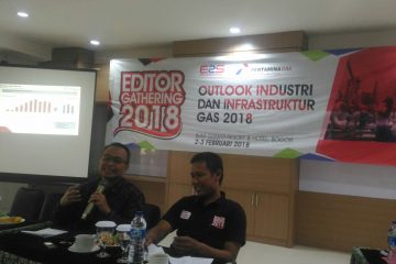 Tanpa Perta Arun dan Perta Samtan, Pertagas Targetkan Laba Bersih US$116 Juta