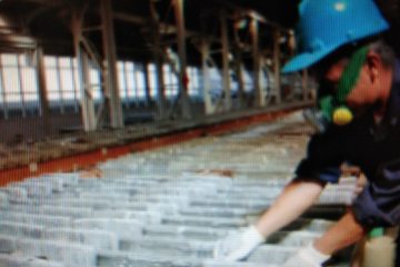 Timah Targetkan Perusahaan Patungan di Nigeria Mulai Produksi 2019