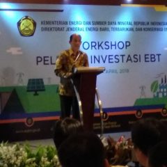 Hingga Maret 2018, Realisasi Investasi EBT Baru 14,7% dari Target