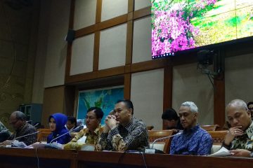 Pertamina Siapkan Opsi Gunakan Lahan PTPN