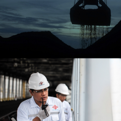 Volume Pengangkutan Batu Bara  Pelita Samudera Kuartal I Naik 55%