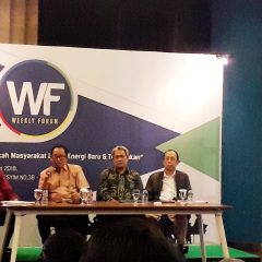 Pengembangan EBT Perlu Dukungan Insentif Fiskal yang Rasional