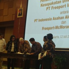 Mau Kuasai 51% Saham Freeport, Inalum Harus Rogoh Kocek US$3,85 Miliar