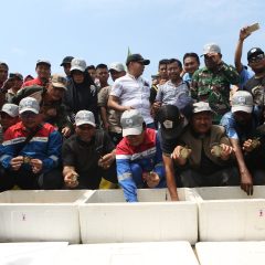 Pertamina EP Rantau Melepasliarkan 433 Tukik Tuntong Laut