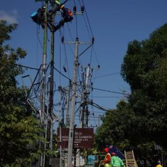 Pembangkit Mulai Pulih, PLN Kejar Perbaikan Jaringan Distribusi Listrik di Lombok