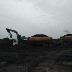 Semester I, Produksi Batu Bara Nasional Capai 174 Juta Ton