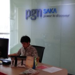 Tunggu Status Definitif, Saka Fokus Kembangkan Aset Eksisting