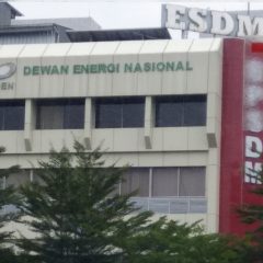 DEN Dampingi Pemda Percepat RUED