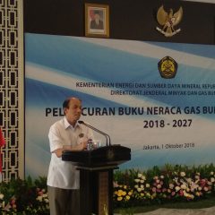 Infrastruktur Jadi Kunci Tunda Impor Gas