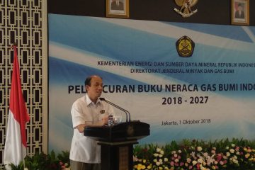 Infrastruktur Jadi Kunci Tunda Impor Gas