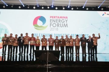 Dukung Implementasi B100, Pertamina Kembangkan Kilang Dumai Jadi Green Refinery