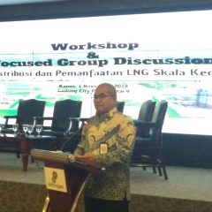 Optimalkan Pemanfaatan Gas Domestik, Bisnis Mini LNG Bisa Dikembangkan