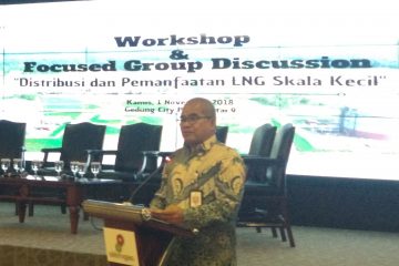 Optimalkan Pemanfaatan Gas Domestik, Bisnis Mini LNG Bisa Dikembangkan