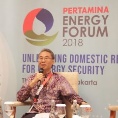 Pertamina Targetkan Produksi Komersial Baterai Lithium untuk Kendaraan Listrik Mulai 2021