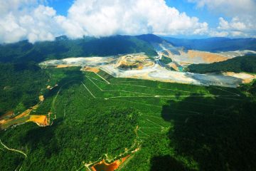 Amman Mineral Target Tingkatkan Areal Reklamasi Tambang Batu Hijau