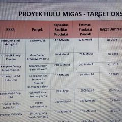 Ini 12 Proyek Hulu Migas yang akan Berproduksi pada 2019
