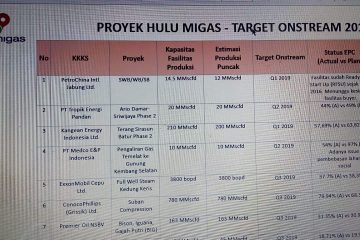 Ini 12 Proyek Hulu Migas yang akan Berproduksi pada 2019