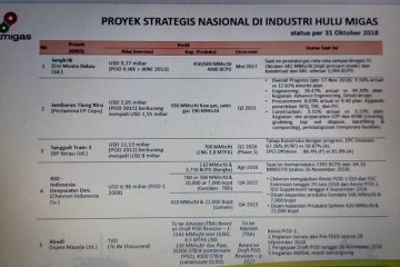 Inilah Lima Proyek Strategis Nasional di Industri Hulu Migas