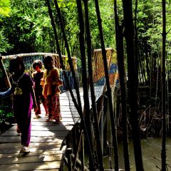 Lubuk Kertang Makin Segar Berkat Kelompok Mekar