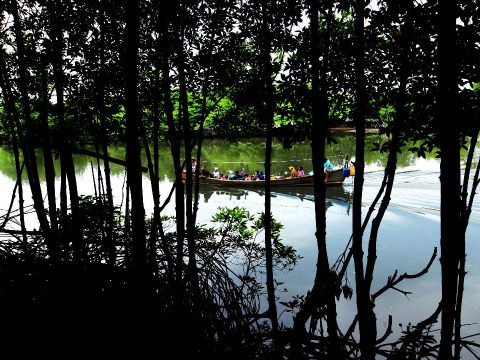 WALHI Tegaskan Pentingnya Penegakan Hukum Lingkungan