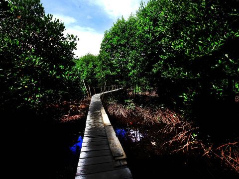 Indonesia – Inggris Sepakat Perkuat Kerja Sama Iklim, Fokus pada Pembiayaan dan Adaptasi