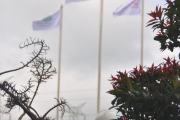 DSSP Power Sumsel Raih 5 Juta Jam Kerja Tanpa Kecelakaan