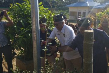 Penerangan Jalan Surya Mulai Terangi Beringin Makmur