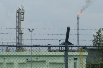 Bermodal US$40 Juta, Pemerintah Targetkan Pertamina Temukan Giant Discovery