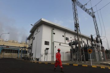 Garap Delapan Wilayah Panas Bumi, PLN Butuh Investasi US$1 Miliar