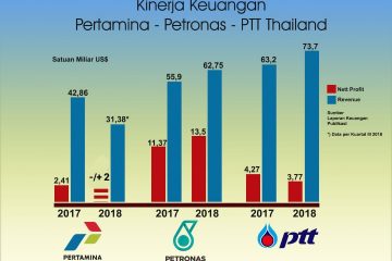 Apa yang Salah dengan Pertamina?