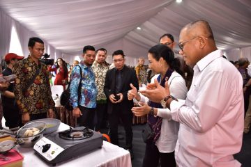 Pemerintah Dorong Sinergi BUMN Wujudkan Hilirisasi Produk Tambang