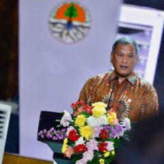 Pemerintah Targetkan 7.000 hektare Lahan Bekas Tambang Direklamasi Tahun Ini