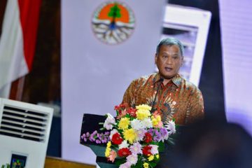 Pemerintah Targetkan 7.000 hektare Lahan Bekas Tambang Direklamasi Tahun Ini