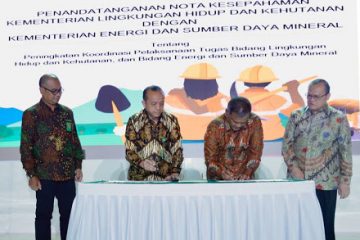 Pemerintah Tingkatkan Pengawasan Pascatambang