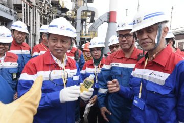 Pertamina Mulai Uji Coba Produksi Gasoil Berbahan CPO di Kilang Dumai