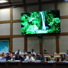 Serapan Gas Domestik Hanya 74,7% dari Target