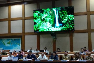 Serapan Gas Domestik Hanya 74,7% dari Target