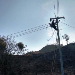 Kejar Rasio Elektrifikasi di NTT, PLN Gratiskan Sambungan Listrik 11.000 Kepala Keluarga