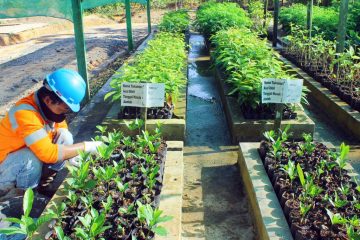 Hanya Jadi Alat Politik, Kewajiban CSR Perusahaan Tambang Diusulkan Diganti Sovereign Wealth Funds