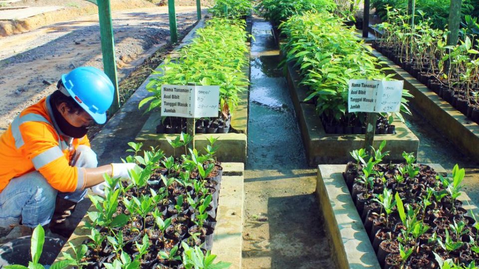 Hanya Jadi Alat Politik, Kewajiban CSR Perusahaan Tambang Diusulkan Diganti Sovereign Wealth Funds