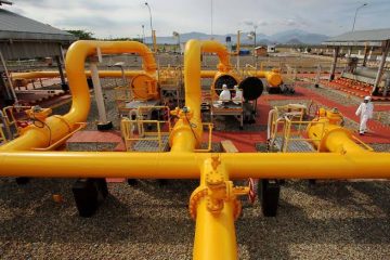 Harga Baru Gas Kawasan Industri Batam Ditargetkan Berlaku Juli 2019
