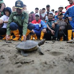 Membelah Sungai Tamiang, Melepasliarkan Satwa Langka Nanggroe Aceh Darussalam