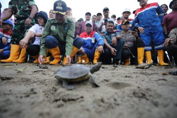 Membelah Sungai Tamiang, Melepasliarkan Satwa Langka Nanggroe Aceh Darussalam