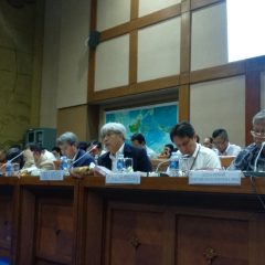 Pemerintah Janjikan 41 Smelter Selesai 2022