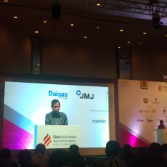 Jonan : Tidak Perlu Impor Gas hingga 2025